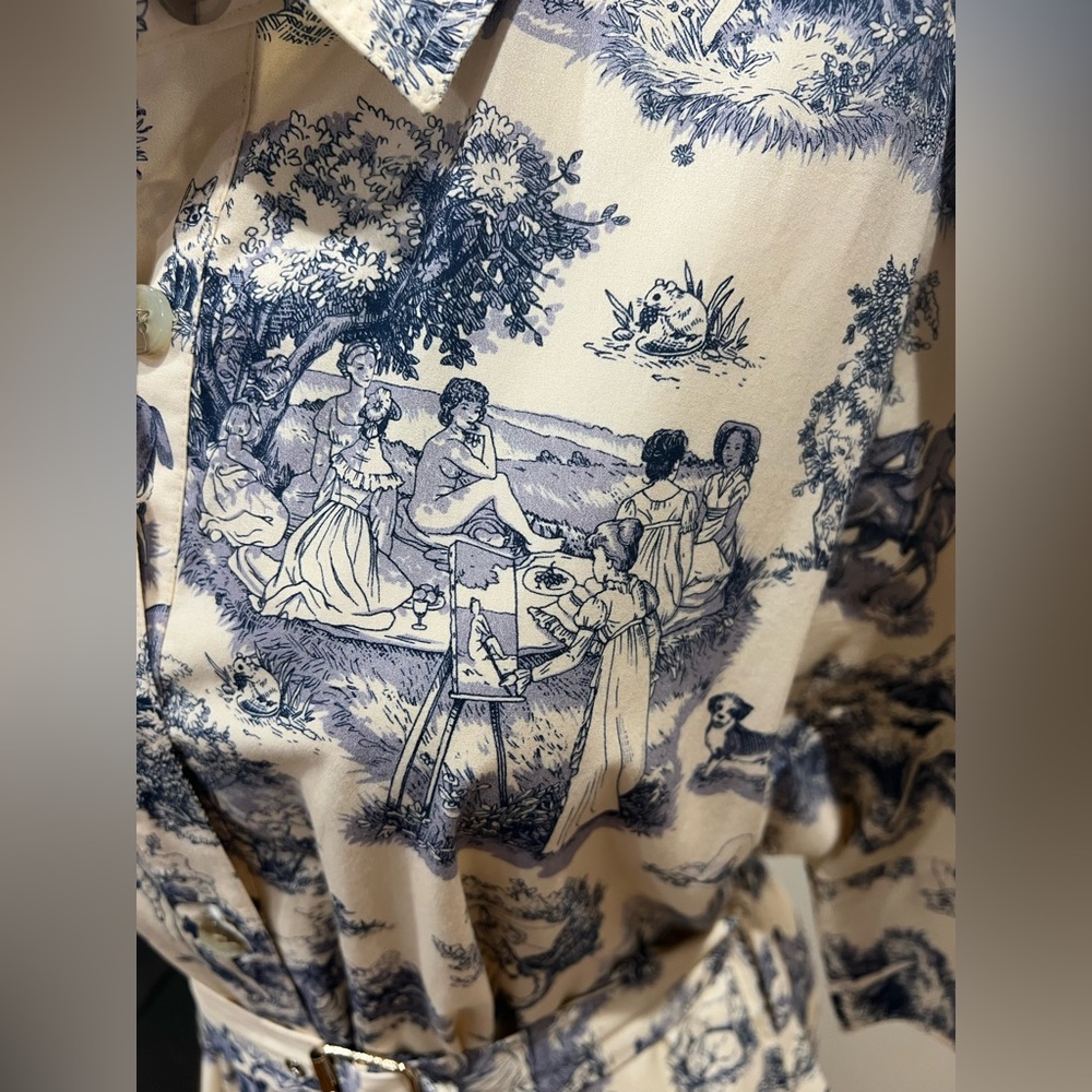 RARE Aliza by JM button down collared paintings dress - Picture 6 of 7
